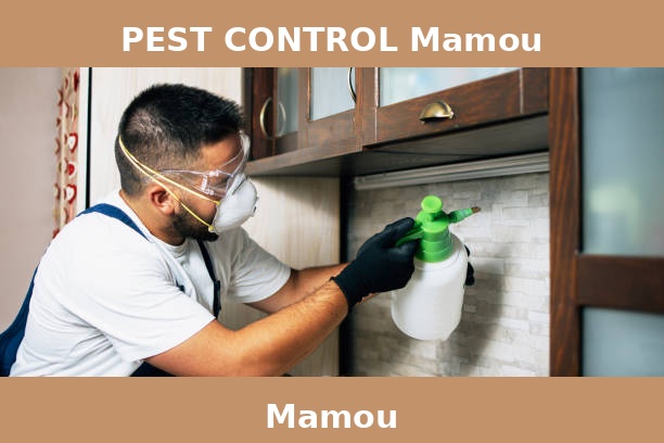 PEST CONTROL Mamou